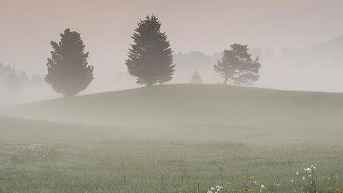 pexels-gianluca-grisenti-4210234