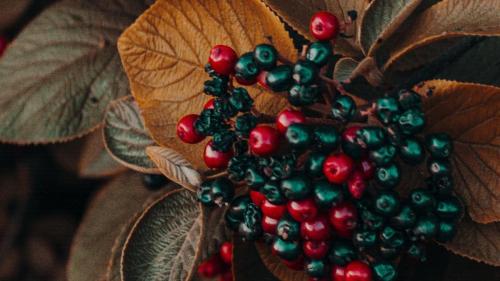 pexels-irina-iriser-(1) (1)